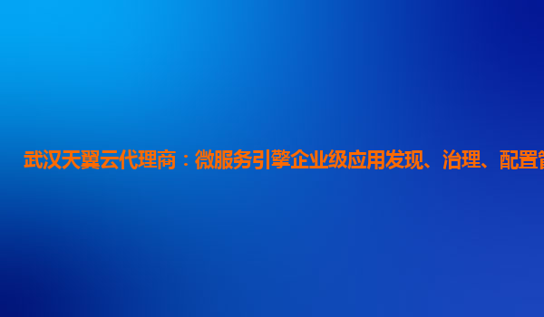 武汉天翼云代理商：微服务引擎企业级应用发现、治理、配置管理平台